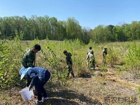 绿色生态 司法护航  抚松林区基层法院开展判后...