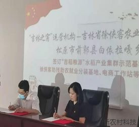 “吉林之窗”唱响乡村振兴之歌  城乡融合新模式...