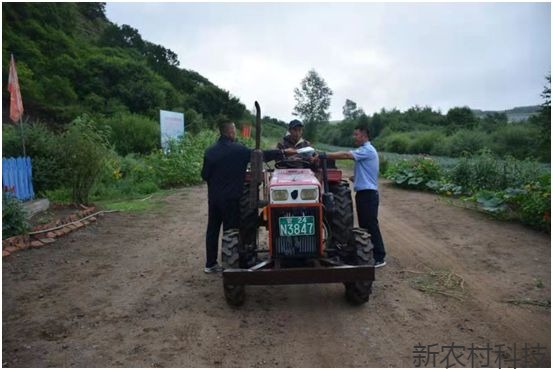 东北豹亮相天桥岭林区 森林公安启动保护机制