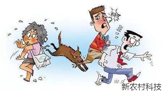 给流浪狗一个家给流浪狗一个家