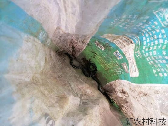 小区来了“不速之客”  白河森林公安民警捕蛇放...