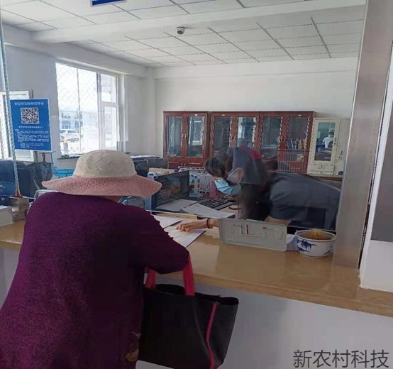 邻里纠纷小矛盾  六旬老太互殴终担责