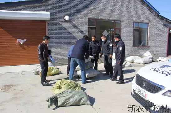 天林公安侦破一起松塔盗窃案