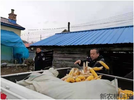 天林分局爱警惠警行动感动深秋