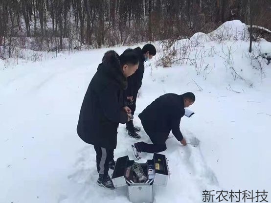 吉林天桥岭林区发现东北虎足迹