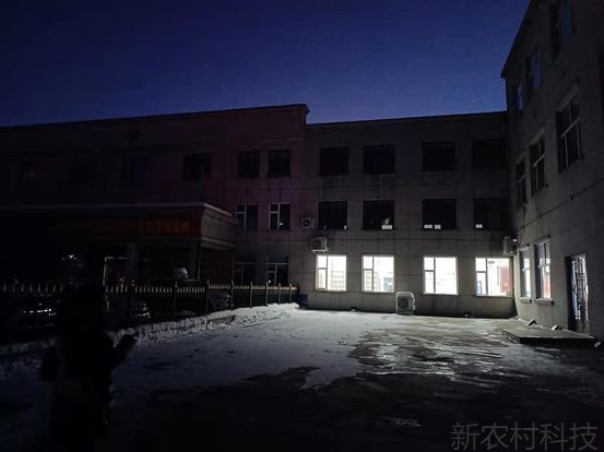 星月相伴无畏风雪   做百姓的“贴心人”
