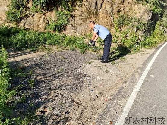 白石山森警上演捕蛇记
