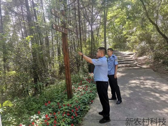 白石山森林公安分局  成功救助一只国家二级野生...
