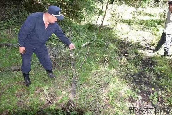 掀起凌厉攻势 保护生态资源
