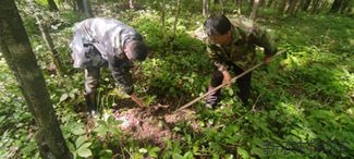 生态司法新路径