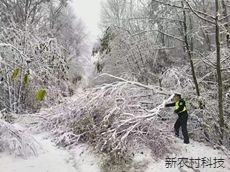 气温突变敦化森林交警  严防林区道路安全