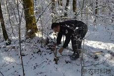 林区派出所开展清山清套  确保森林资源安全