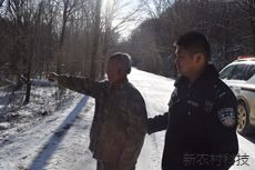 男子私自入山盗窃木材被抓