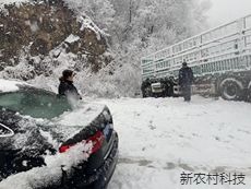 暴风骤雪阻不断的温情调解