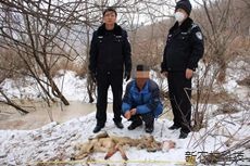 非法猎捕狍子必追责  悔之晚矣尝恶果
