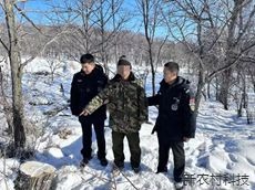 男子借放牛私自伐树  森警巡护中慧眼识破