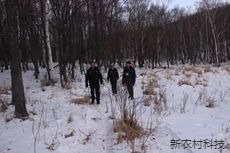 保护生态 重拳出击  天桥岭森林公安  连破1...