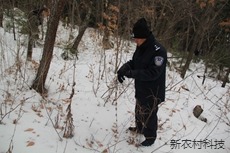 敦化森林公安联合企业  开展“春季攻坚”清山清...