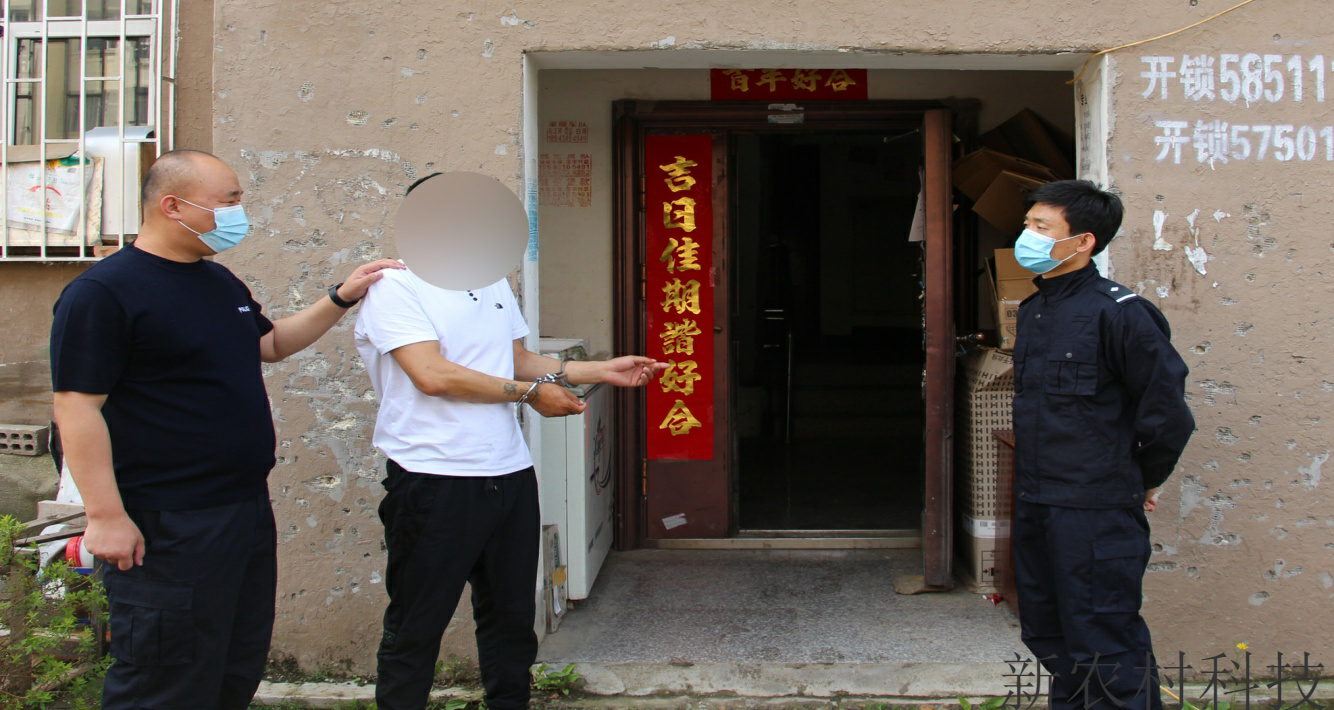 单身女子引狼入室   “钻石王老五”秒变身盗走...