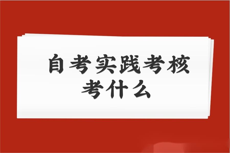 自考实践考核考什么