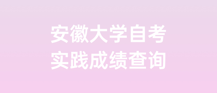 安徽大学自考实践成绩查询