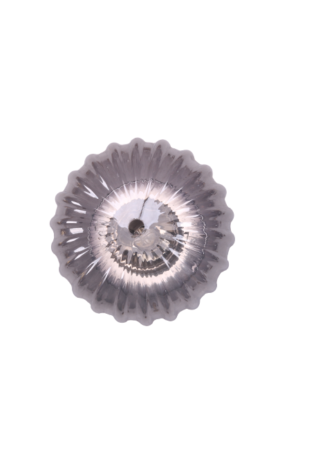Syndrilita Glass 1-Light Wall Lamp