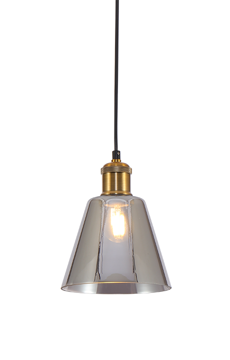 SECINIA 1-Light Pendant