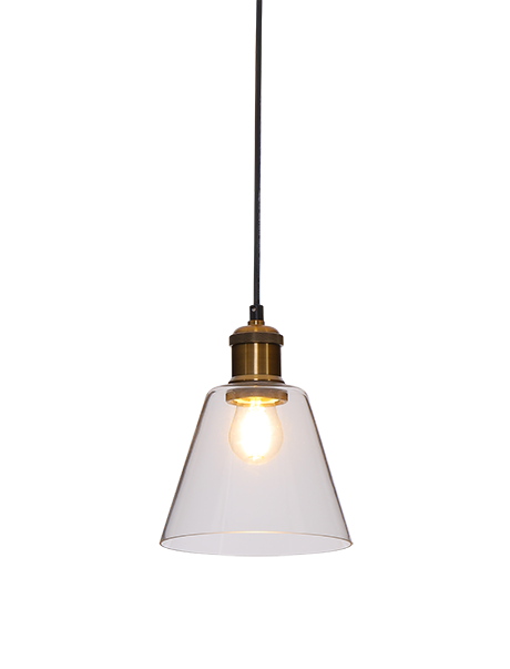 SECINIA 1-Light Pendant
