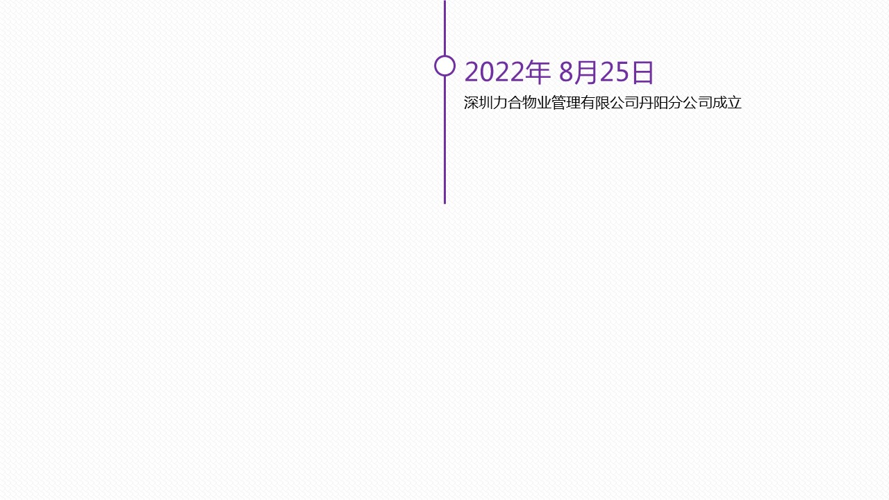 描述
