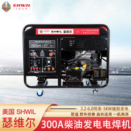 300A柴油發電電焊機