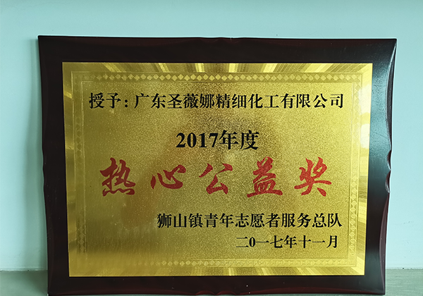 2017 community chest award