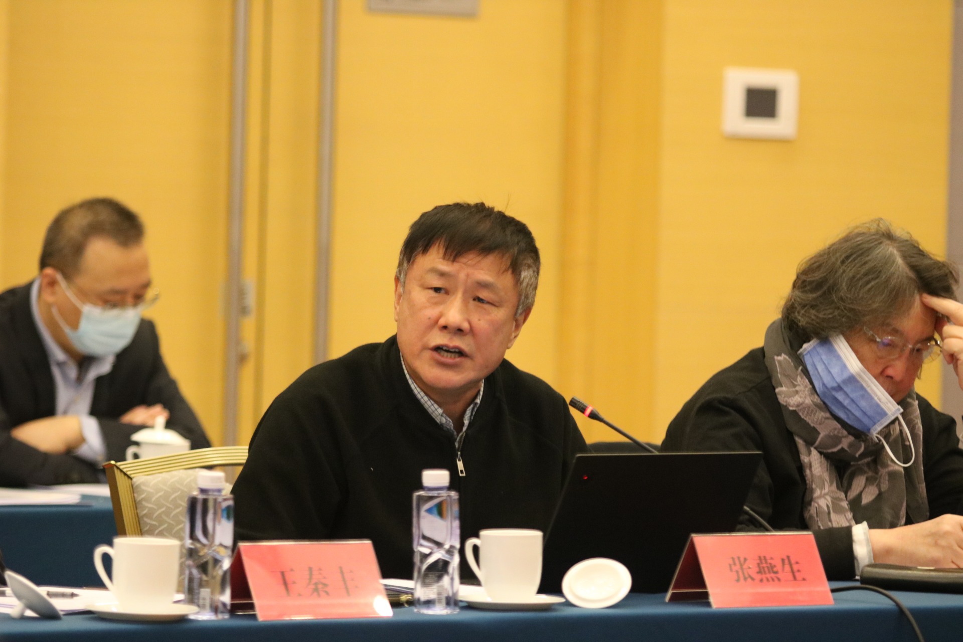 2.第五十四次学术委员顾问联席会议-张燕生发言