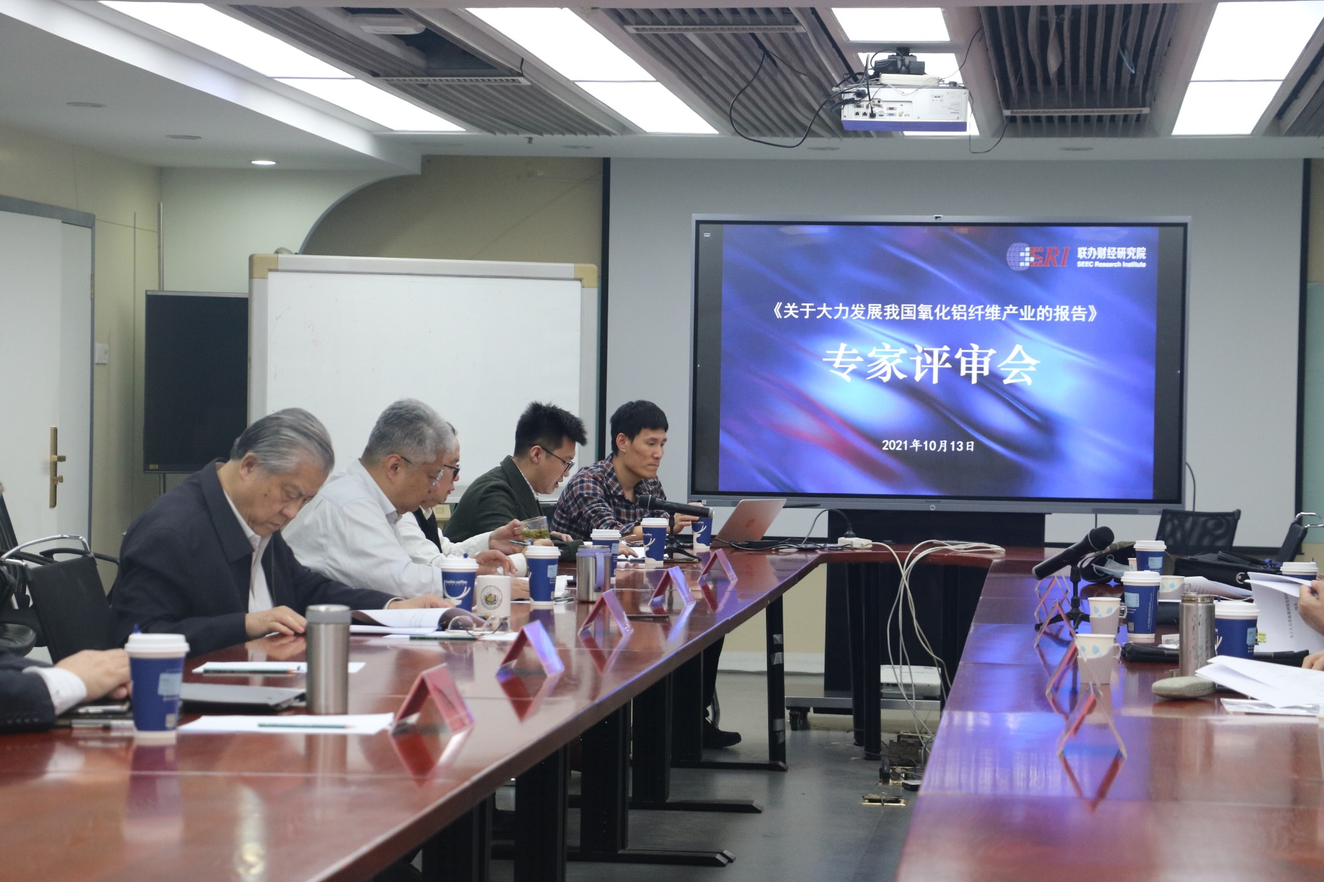 2.《关于大力发展我国氧化铝纤维产业的报告》专家评审会-研究院专家