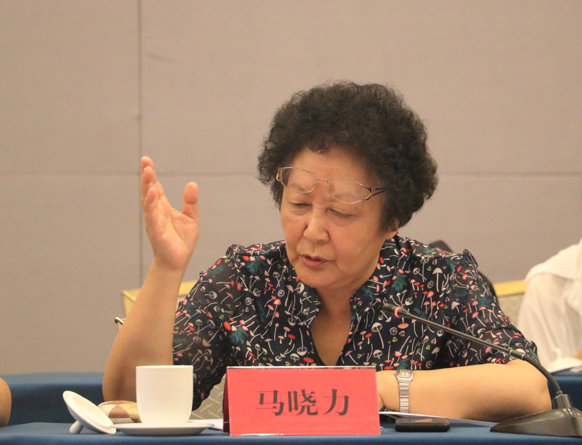 6.第五十二次学术委员顾问联席会议-马晓力发言