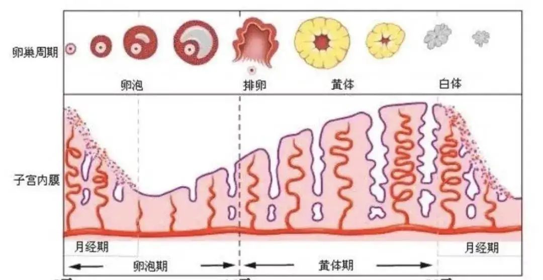 微信圖片_20240319085856