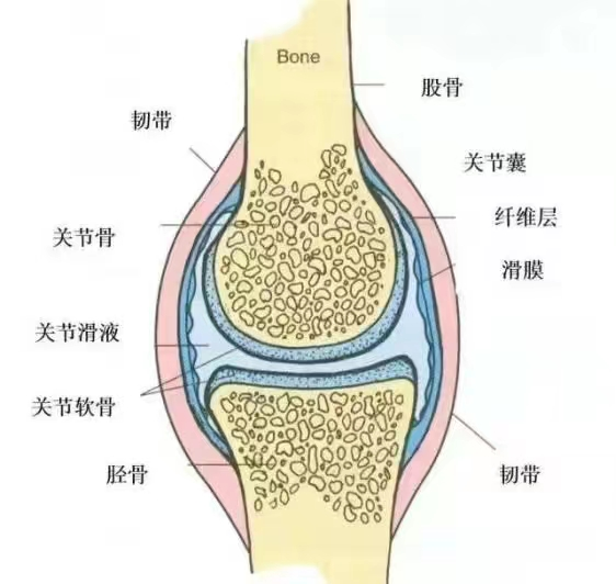 微信圖片_20231109090925