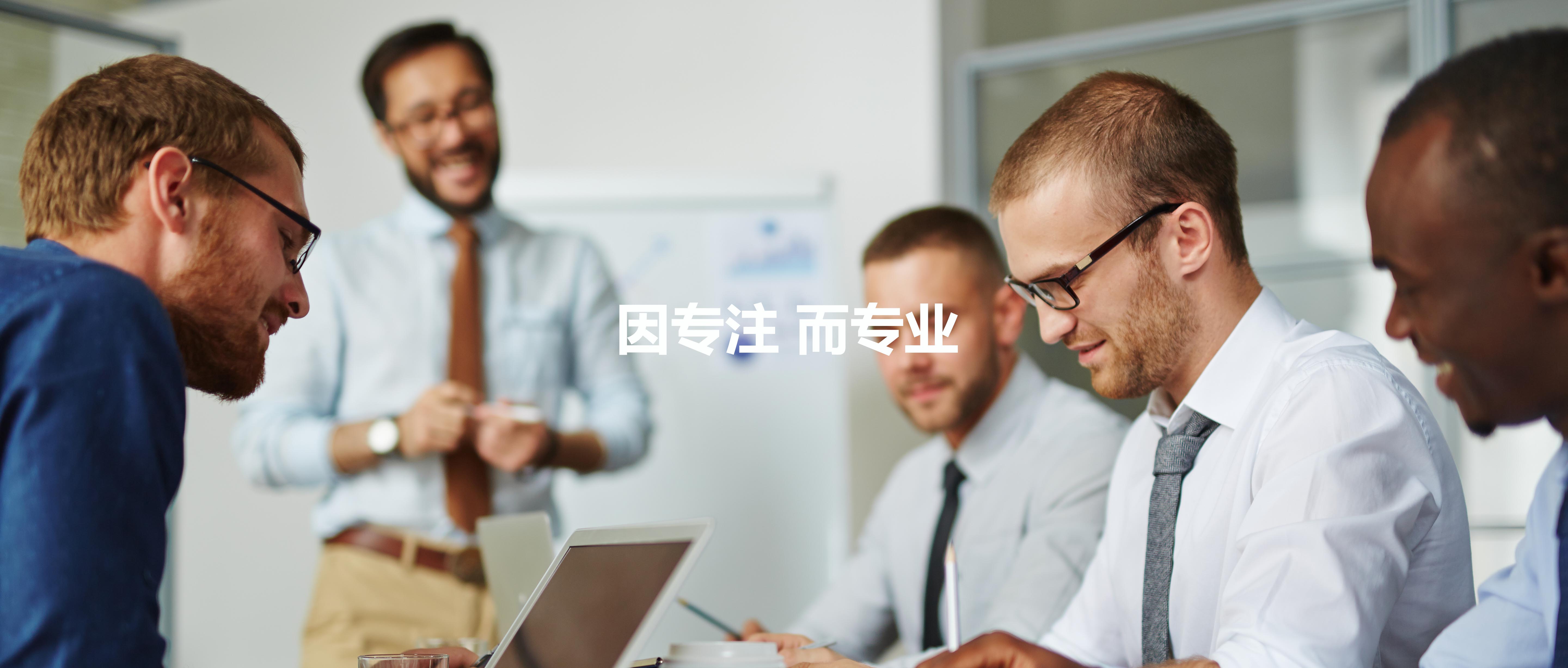 描述