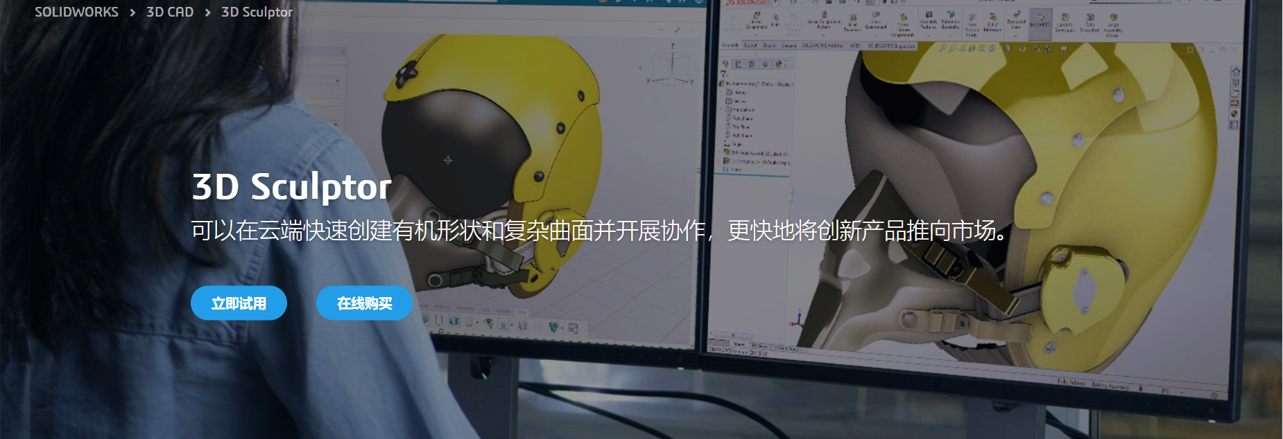 描述