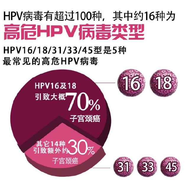 hpv11