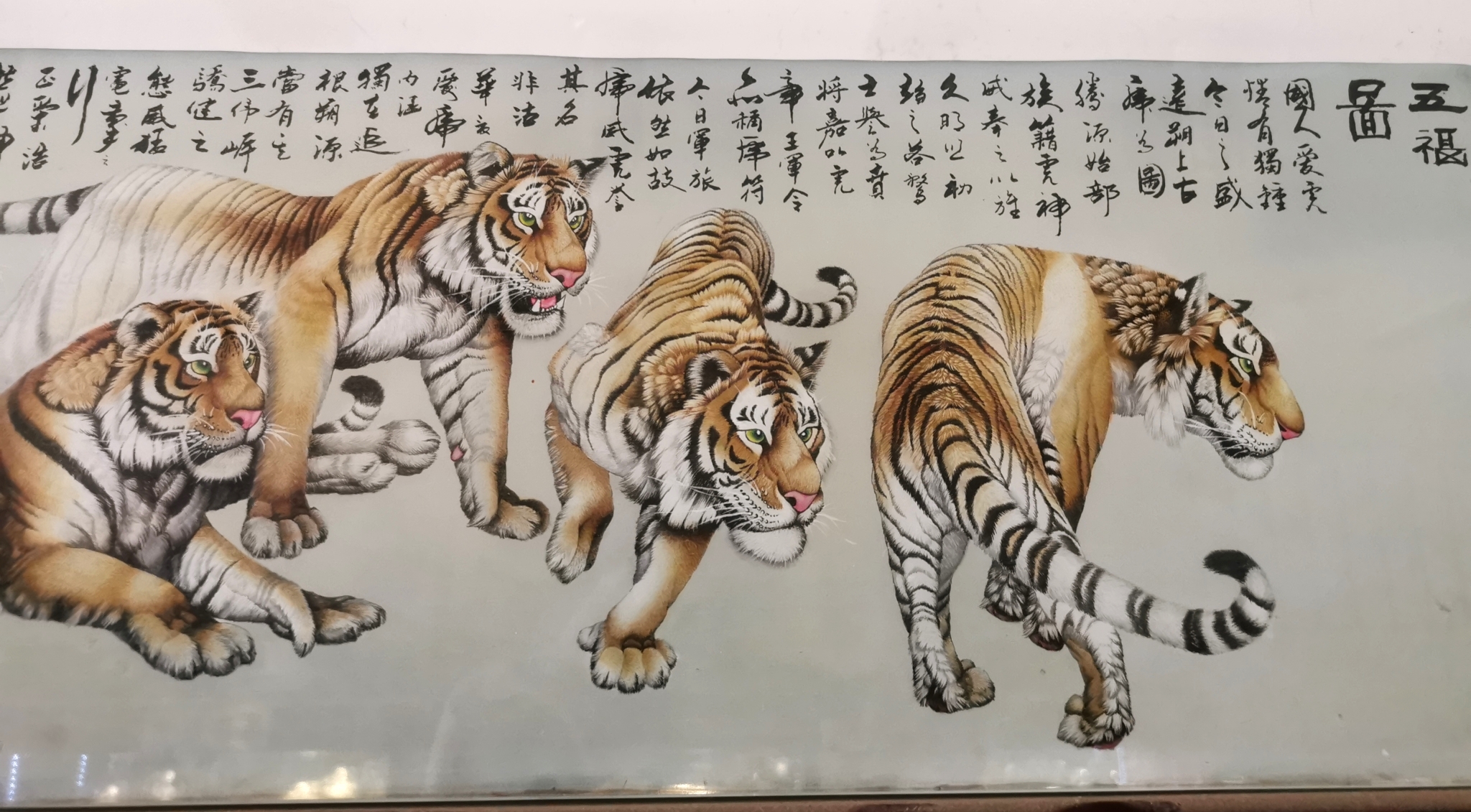 Tigers