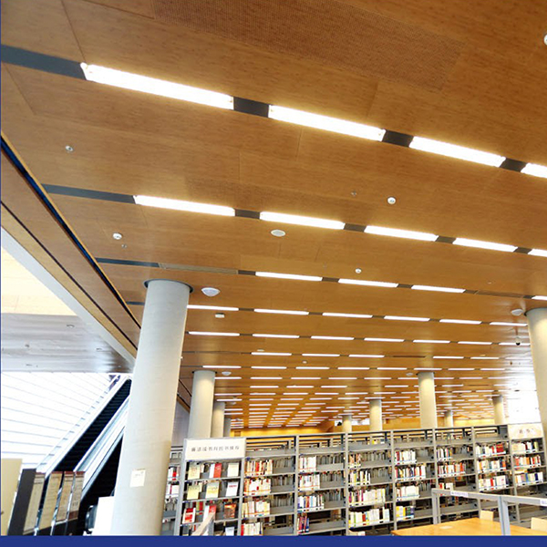 Project Name: Foshan Library