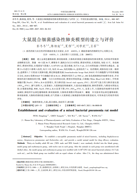 大鼠混合细菌感染性肺炎模型的建立与评价