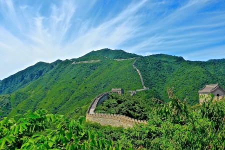 成人高考和自考有哪些区别 哪个更好