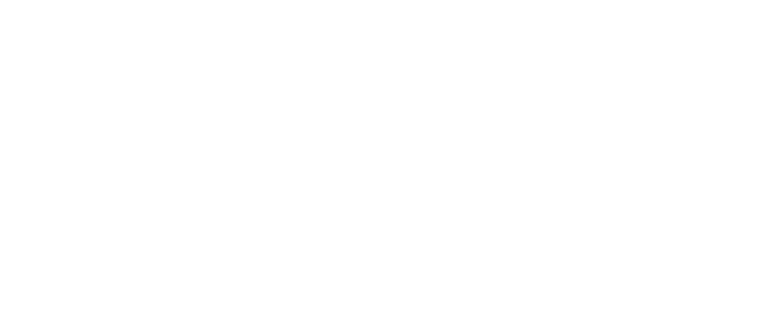 描述