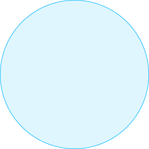 描述