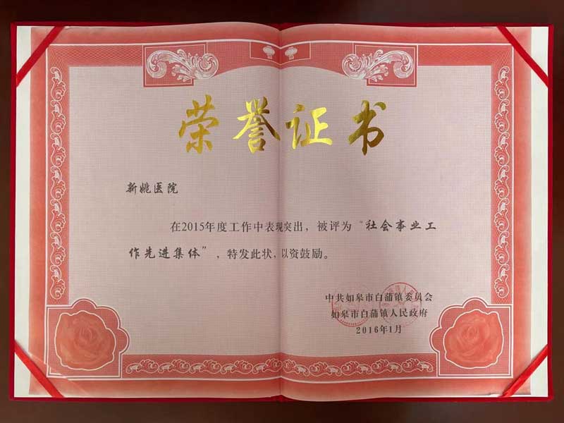 2015社會工作先進集體