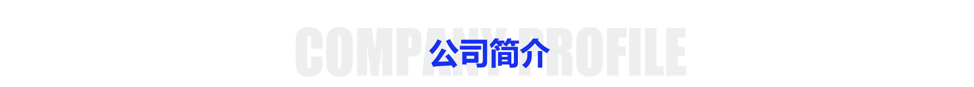 公司简介