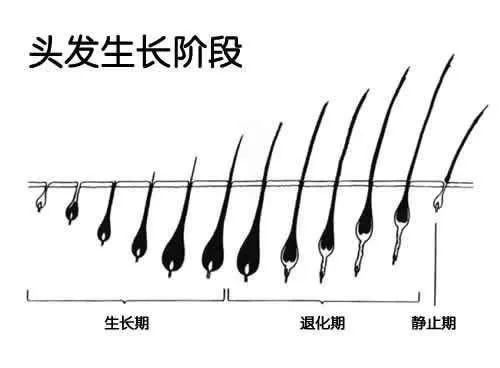 微信圖片_20210419144603