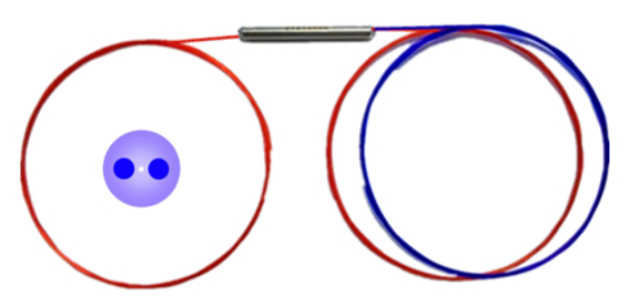 Polarization Maintaining Coupler -FBT