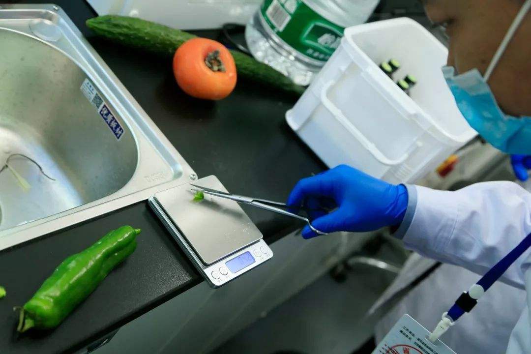 食品安全檢測